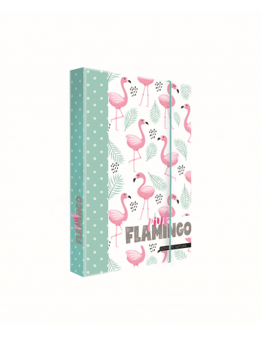 Box na sešity A4 Romantic Nature Flamingo