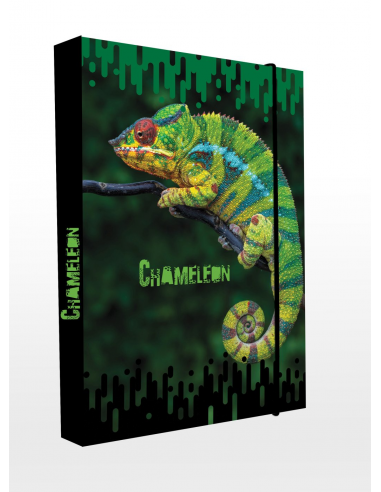 Box na sešity A4 chameleon