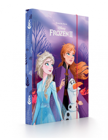 Box na sešity A4 Frozen 2