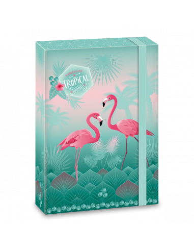 Box na sešity Pink Flamingo A4