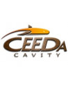 Ceeda Cavity